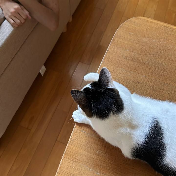 61ce6065 eb5a 4ec9 868b 7f6820465b19 1752969730115