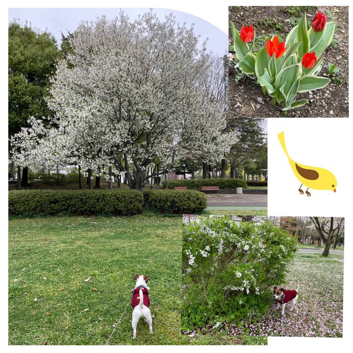 61ceba15 c5c6 45b8 9822 a10fa6bea538 1650020185729