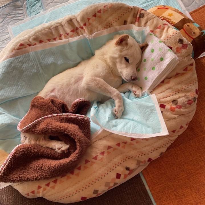 61cebd63 3116 4d2d 83e1 d3510dcb7258 1669034158129