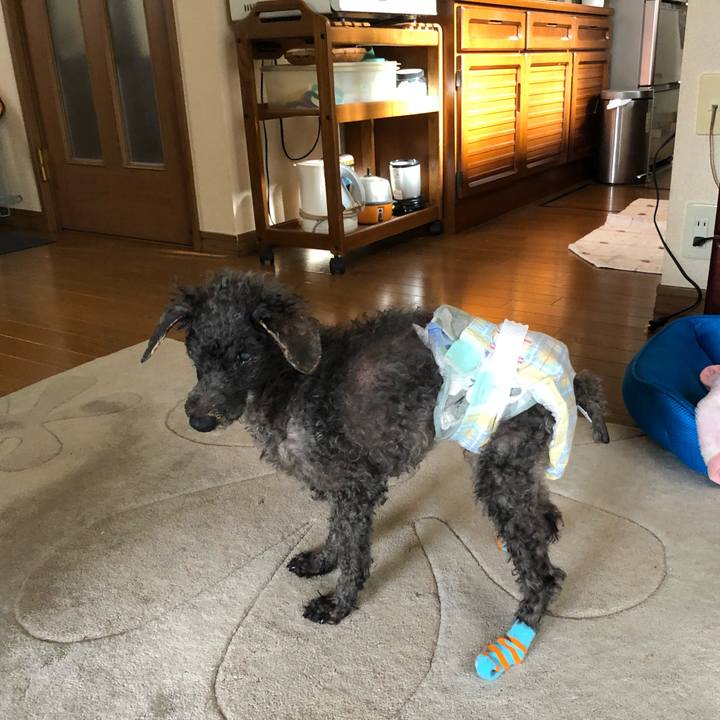 61cebf2b 5021 4dcd a406 387df9346b50 1581730466598