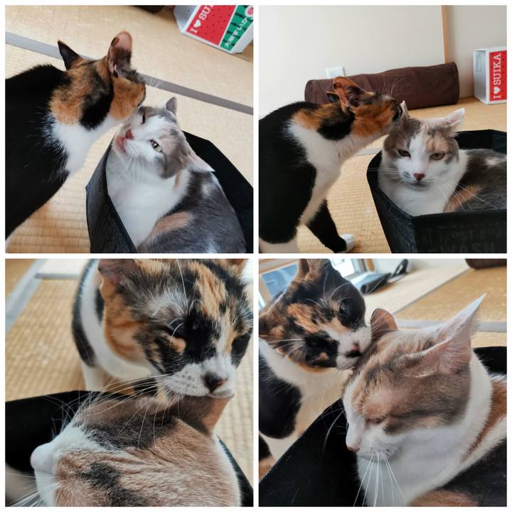 61cee352 439f 4969 a391 dc9db5a8027f 1631087707319