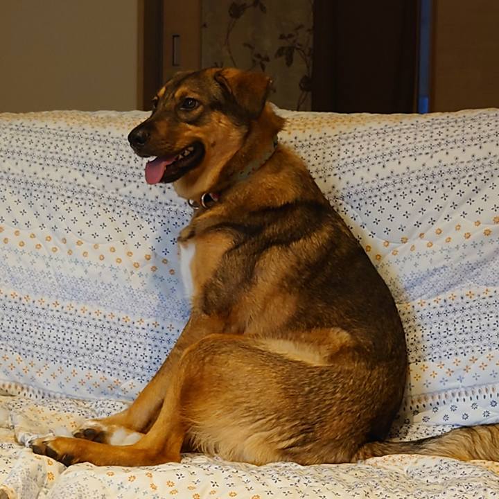 61ceea43 471c 457d 87b8 152063dd7d2e 1693927096444