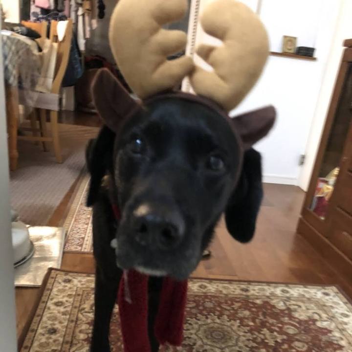 61ceea99 8e75 4a2e 80da c43ad84e6607 1691806319375