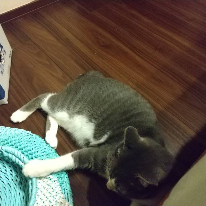 61cf1461 e0ec 438d b044 5c6fc5ad3bd5 1624884109834