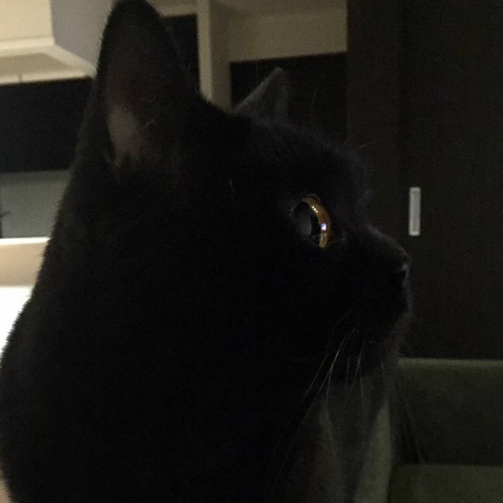 61cf197a 9425 4fce 95f6 1770c983b62e 1544880292098