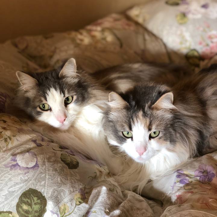 61cf2168 ebcc 4828 b496 aaa29a2c1749 1548465102452