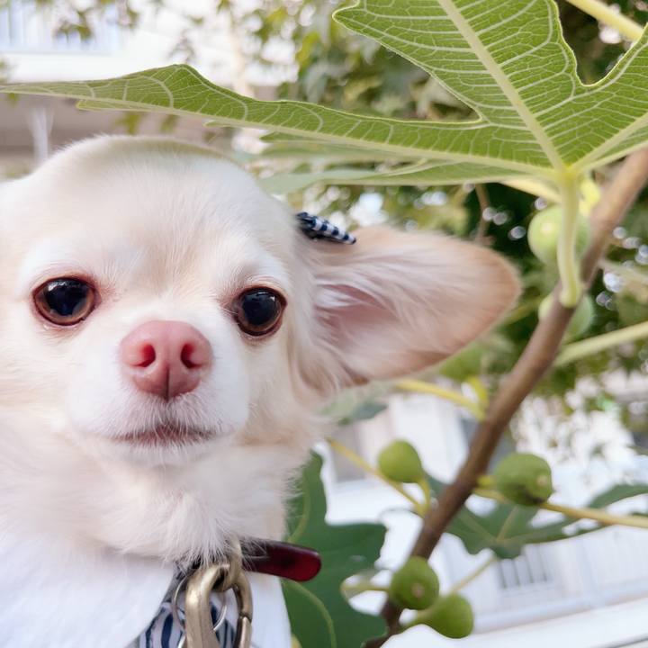 61cf5134 01e1 4533 9566 859c875dc3a0 1697203886406