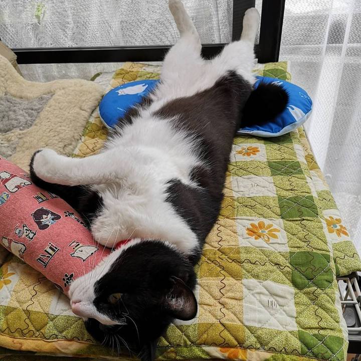 61cf694c 5430 49cb a99b c47dff986b8f 1620790735773