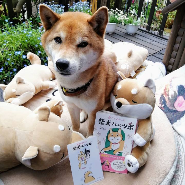 61cf795d 5f08 490c 8c8b 8ec23930f6c1 1586314253301