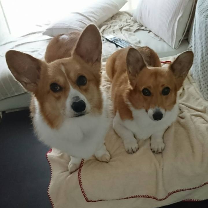 61cf8483 5328 4283 946c 2f91e54e6a98 1525650679820