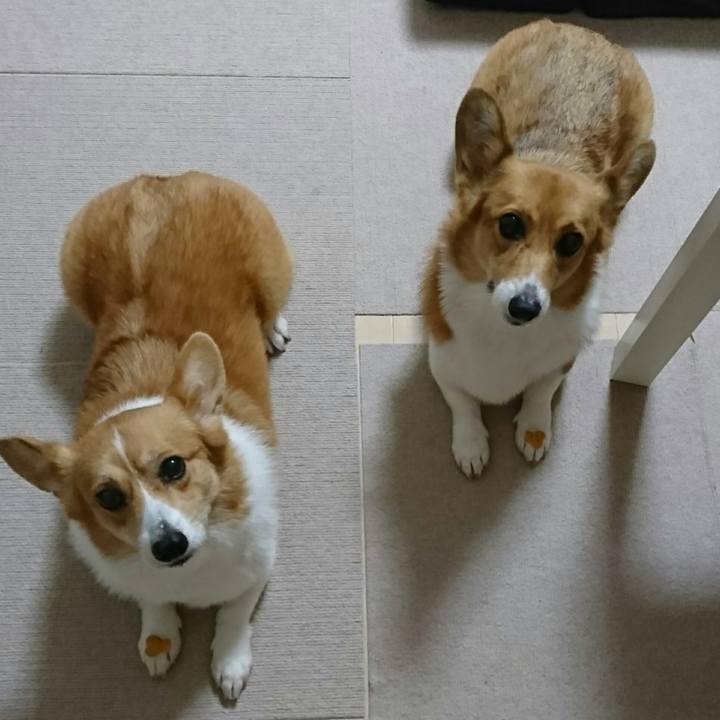 61cf88db 48e7 4a3a 9667 4d341bd1e200 1540733643964