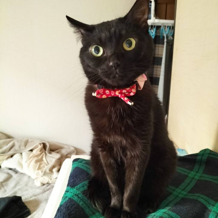 61cf8eaa 06a1 4b53 a8ca 74509ed37d1e 1678313021625