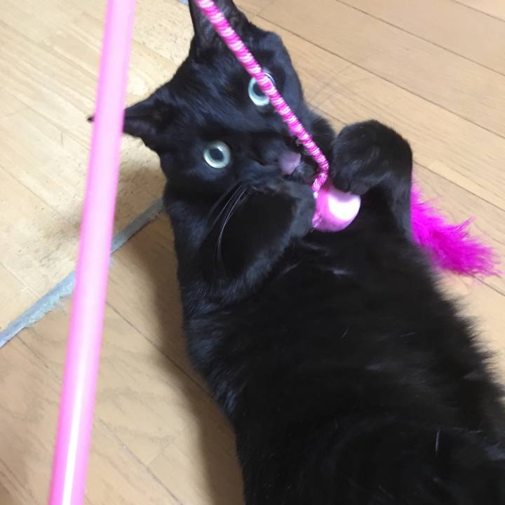 61cfa718 e61c 4809 9b17 60858aad1318 1518389222938