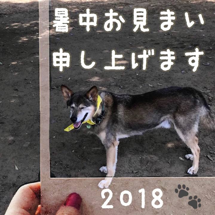 61cfbe20 aa2f 40df a003 673b884eddc0 1532380194630