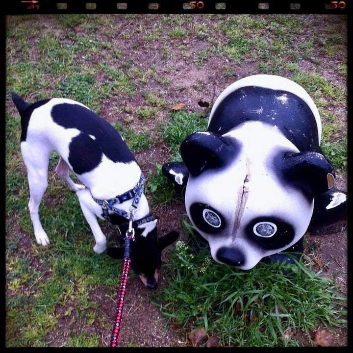 61cfc513 4970 46a3 983b 9d8dd5a15043 1711716050073