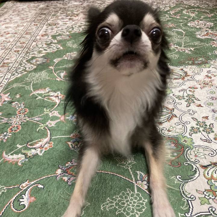 61cfcb05 d014 422f 907d 30d6b5474766 1664029797927