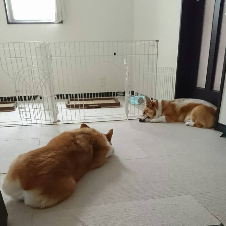 61cfd046 1829 4718 91bd 18876256b04f 1533529092942