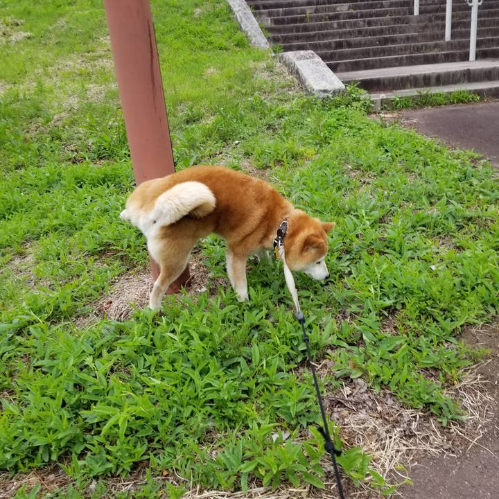 61cfe2fb c14b 4cbe bbfd 882eefbbb647 1623138430315