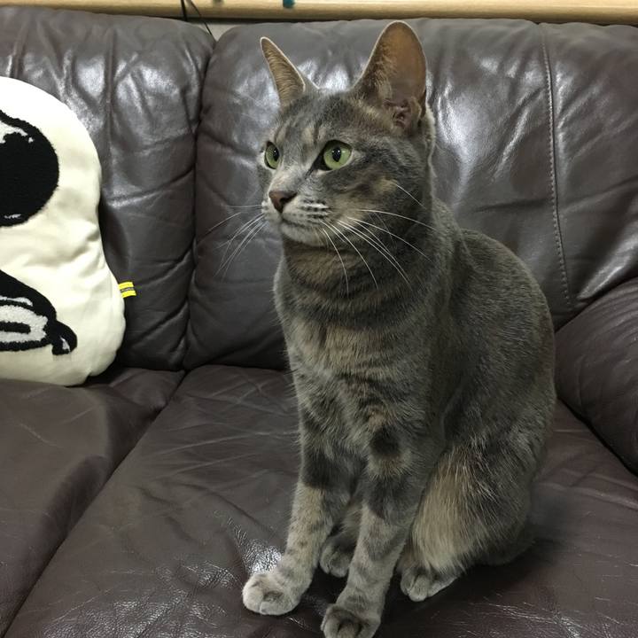 61d00b2a 967b 4cd6 9999 8667bf6c602c 1605018361285