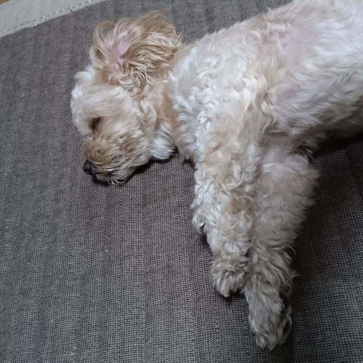 61d01cd1 248a 4ba6 b231 b612abc348ad 1533445470637