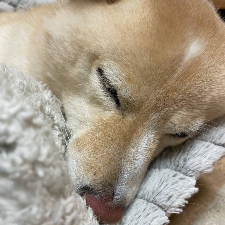 61d03b3f 119a 451d a28b 91c69229f20c 1700743762333