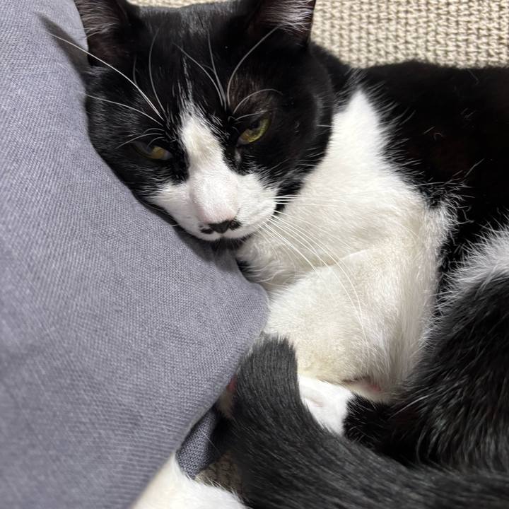 61d03f01 869d 40df 8ac0 133b0422546b 1768703688208