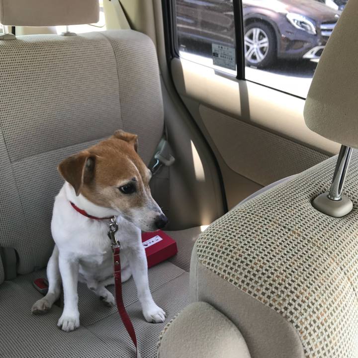 61d048fa cc42 4172 bc16 4c0b7bb6537a 1526095723398