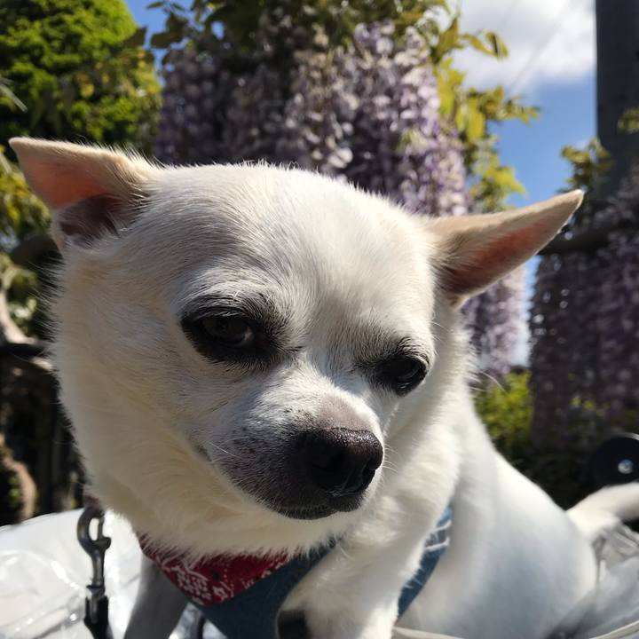 61d06c4c 9fa8 4368 a790 e7da732f3602 1591704466443