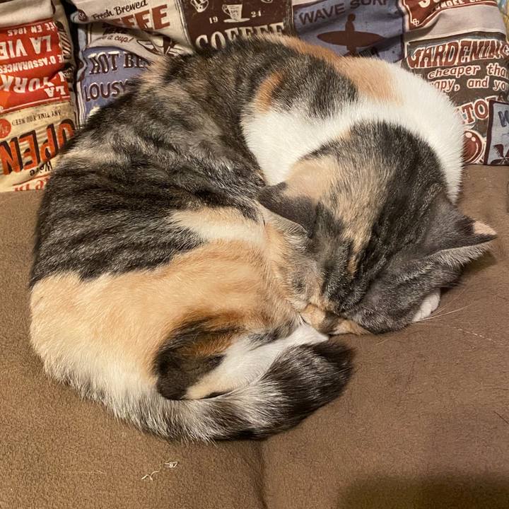 61d0b125 eff8 4608 9608 81165d6a1e78 1585156411749