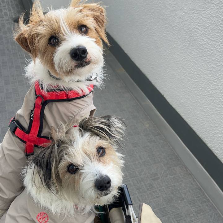 61d0c376 5dde 431e a814 8bac2b6e6a05 1773027373977