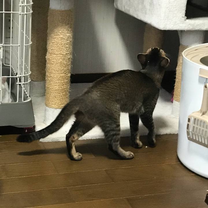 61d0fb2a 9cdc 4460 883b 1997d33bade6 1546954384287