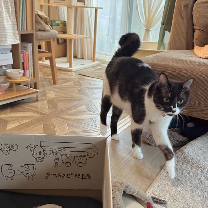 61d175a8 7927 44b7 81ce 02b0b150f553 1767487742761