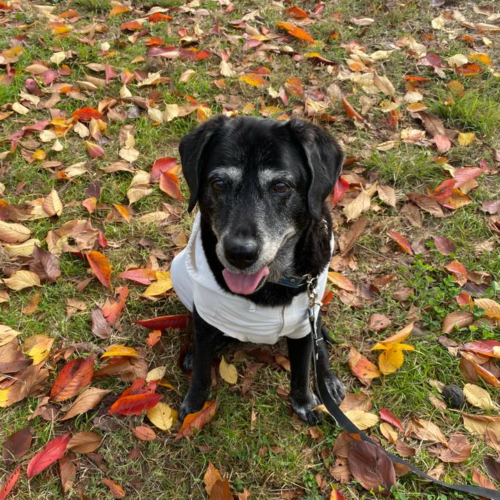 61d1a9f8 83b2 41fe 8aa2 3aeb100593f0 1731724300435