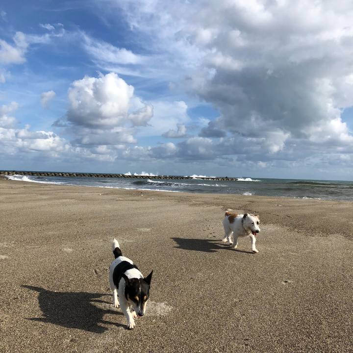 61d1aff0 2964 4539 a9d7 43e1b6e21324 1534549692140