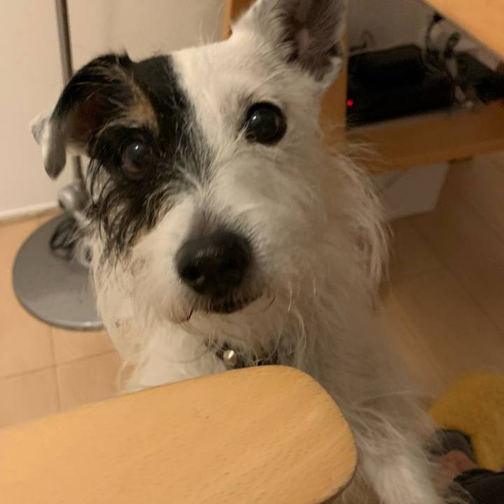 61d1b51f fe28 4f46 9073 332004a752ad 1700218850195