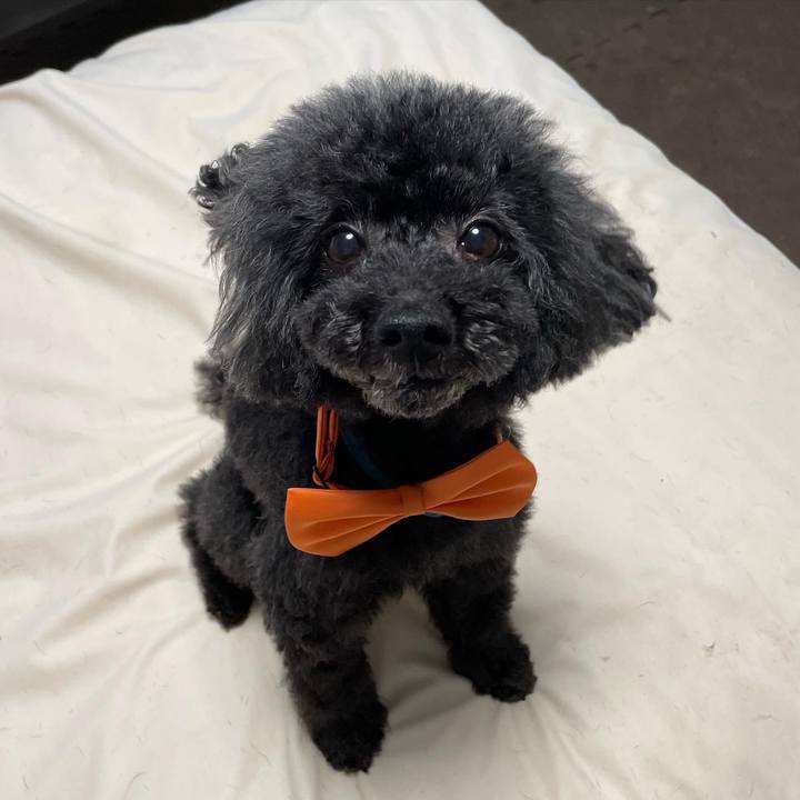 61d1c76c bec7 4156 9c20 10ca1a0a4553 1652522121436