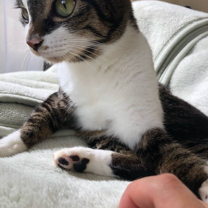 61d1d60e 46b2 4896 bbb6 6c5b65dd9fad 1603309375952