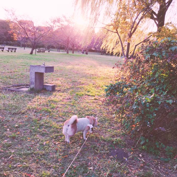 61d1d716 1614 45eb ac4c 90a17d1ca199 1605179228202