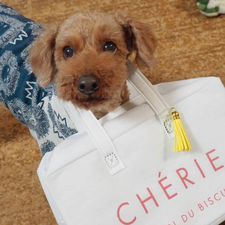 61d1d769 2818 4cbf 8984 9e3edf1533ce 1583942072608