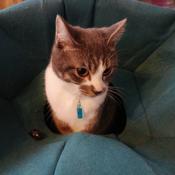 61d20a1b 7eb1 4787 85ea a379f7451553 1579647893604