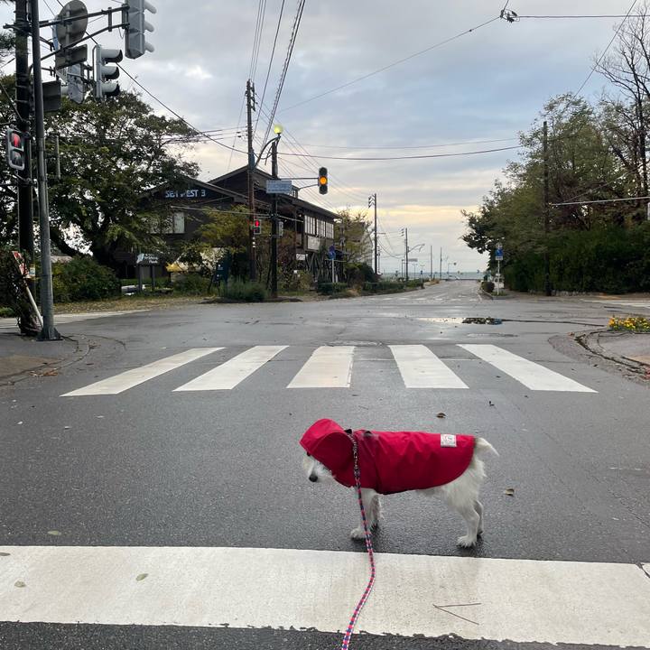 61d249b1 69c4 4e63 bea5 6c777634d337 1732230687356