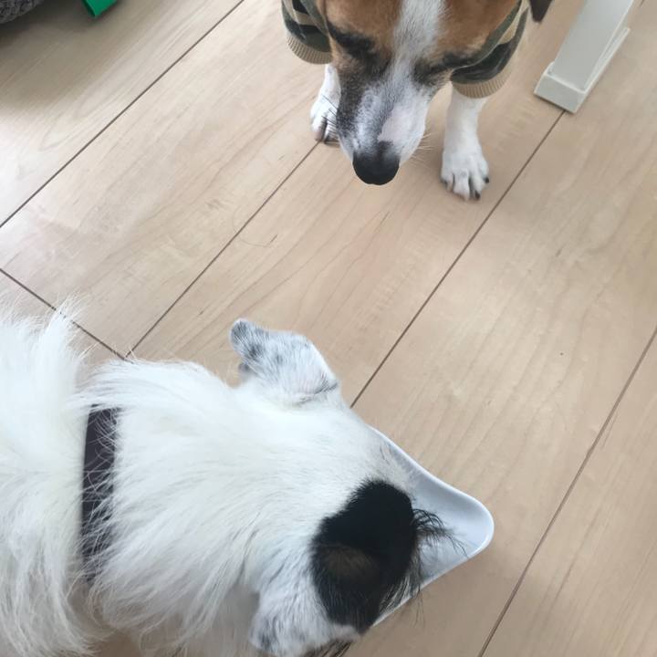 61d27dc8 a46b 4c52 841d f9653656b288 1531439040031