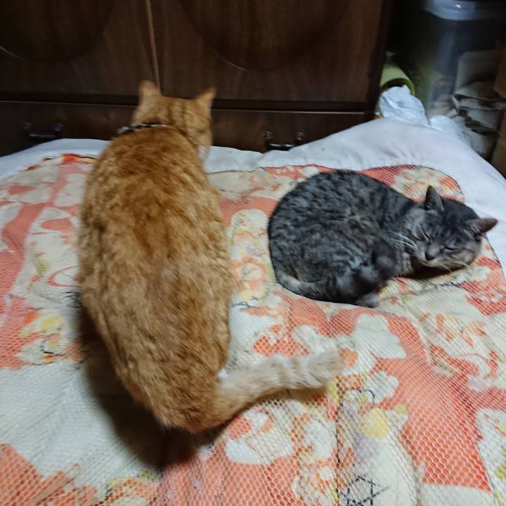 61d28903 24f3 41f9 873c 39d3c9ea3550 1572961137818