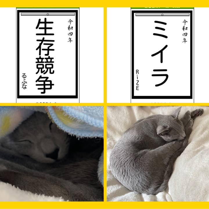 61d28f2b 364e 451b b3cf 6d6ffddd6131 1641102497376