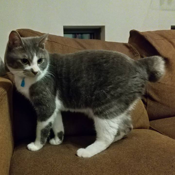 61d2a2c7 808e 4329 9305 a0dafc837b90 1607953866644