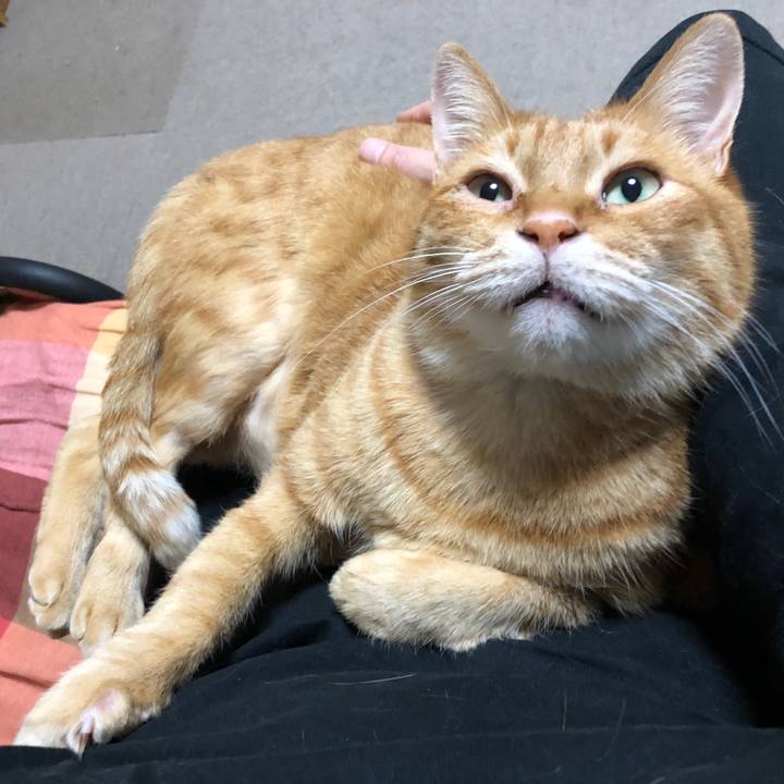 61d2c60b 0d59 4517 a96c ede26b36af8e 1673255508244