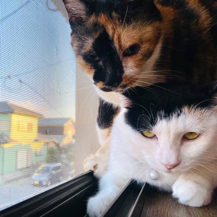 61d2e185 c2eb 4b18 9523 2b8541ac40d1 1658231114430