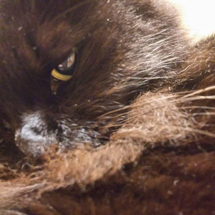 61d30a1d 6ea7 45e2 8b16 d4ee7ec41f97 1538822230756