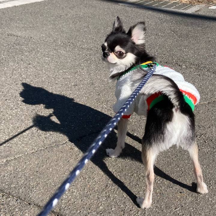 61d31c12 00d7 4a59 be4b 08778a79575c 1645587288184