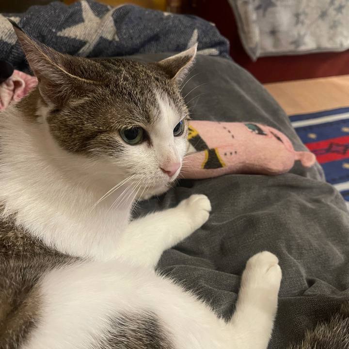 61d35954 d4c1 4043 bb26 f810d63a516a 1626615530496